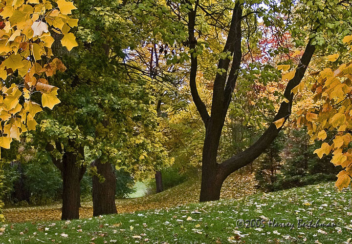 Fall at Vaughan Estates-1346.jpg